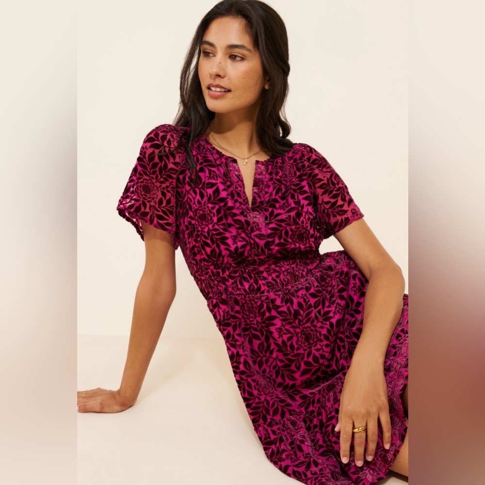 Anthropologie The Somerset Mini Floral Fuchsia and Black Velvet Dress